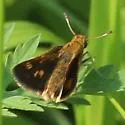 Dion Skipper - Hodges#4072 - photo 5