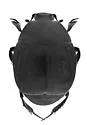 Euspilotus cribrum