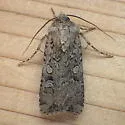 Reaper Dart - Hodges#10705 - photo 2