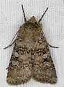 Tessellate Dart - Hodges#10805 - photo 4