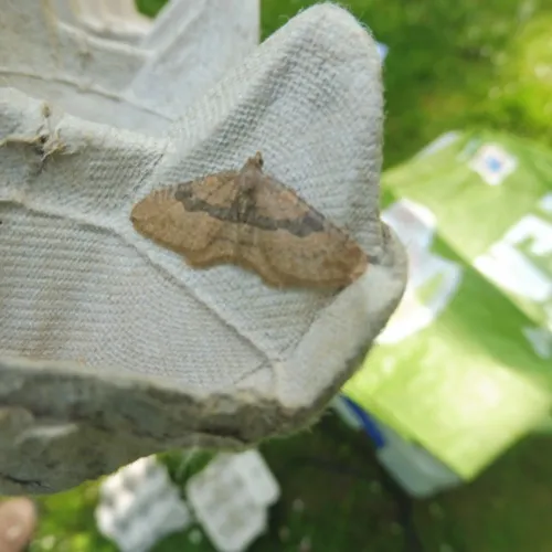 The Gem - photo 8