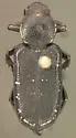 Genuchinus ineptus - Genuchinus ineptus