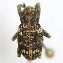 Gerstaeckeria knullorum