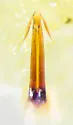 Gyponana ortha - photo 4