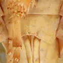Gyponana scrupulosa - photo 4