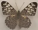 Variable Cracker - Hodges#4541 - photo 2