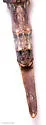 Mayer's Walkingstick - photo 5