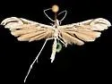 Brickellbush Plume Moth - Hodges#6178
