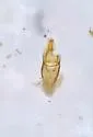 Helophorus leechi - photo 4