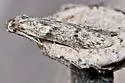 BOLD:AAG8593 - photo 3