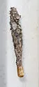Hyaloscotes pithopoera - Hodges#0449