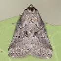 White-lined Graylet - Hodges#9035 - photo 4