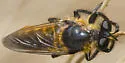 Golden Laphria - photo 2