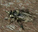 Columbia Laphria - photo 5
