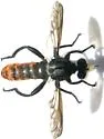 Silver-backed Laphria