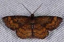 Dark-ribboned Wave - Hodges#7179 - photo 3