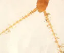 Leuctra ferruginea - photo 2