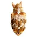 Lignyodes ligustricolus - photo 4