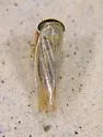 Limotettix urnura - photo 4