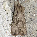 Dashed Gray Pinion - Hodges#9892 - photo 2