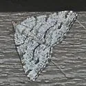 Speranza decorata - Hodges#6306
