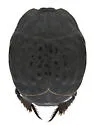 Margarinotus guttifer