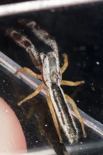 Pike Slender Jumper - photo 7