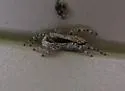 Gray Wall Jumper - photo 2