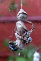 Labyrinth Orbweaver - photo 2