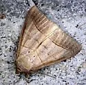 Texas Mocis - Hodges#8745