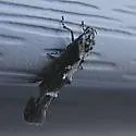 Mompha albapalpella - Hodges#1423