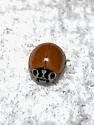 Clay-colored Lady Beetle - photo 5