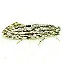 Nemapogon multistriatella - Hodges#0269