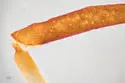 Neosymydobius paucisetosus - photo 4
