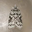 Nycteola columbiana - Hodges#8976 - photo 2