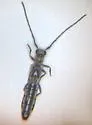 Raspberry Cane Borer - photo 3