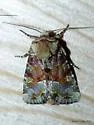 Bridgham's Brocade - Hodges#9415 - photo 3