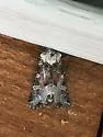 Bridgham's Brocade - Hodges#9415 - photo 5