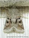 Small Brocade - Hodges#9416 - photo 5