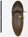 Onichodon rugicollis
