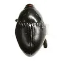 Oomorphidius erasus - photo 3