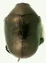 Oomorphus floridanus - Oomorphus floridanus