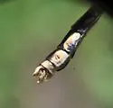 St. Croix Snaketail - photo 5