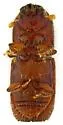 Mediterranean Pine Engraver Beetle - photo 5