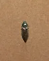 Oxygonus obesus
