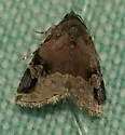 Aerial Brown - Hodges#9030 - photo 4