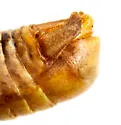 Phaedrotettix palmeri - photo 5
