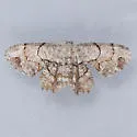 Philagraula slossoniae - Hodges#7654 - photo 2