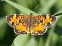 Northern Crescent - Hodges#4481.1