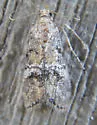 Mesquite Leaf Tier - Hodges#5620 - photo 4